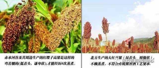 微信圖片_20180601154709.jpg 微信圖片_20180601154709.jpg