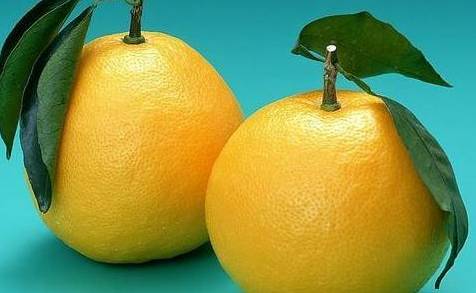 微信圖片_20200417092455.jpg 微信圖片_20200417092455.jpg