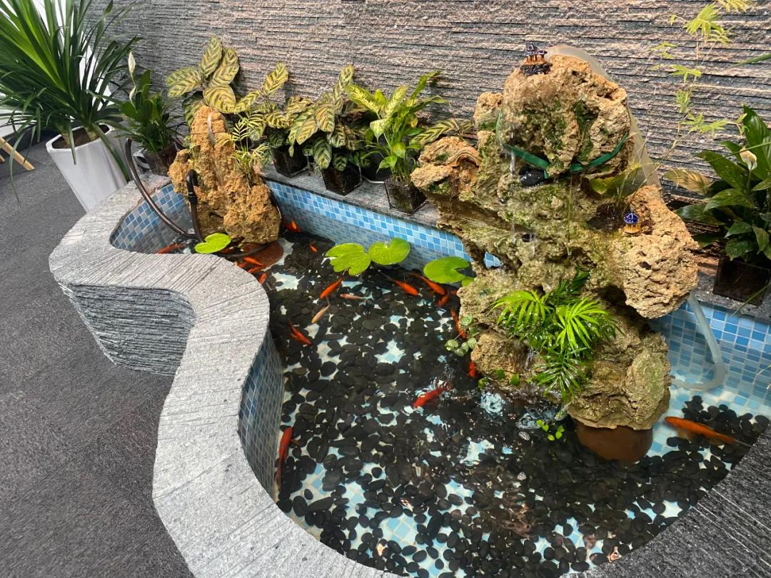 微信圖片_20201211164315.jpg 微信圖片_20201211164315.jpg