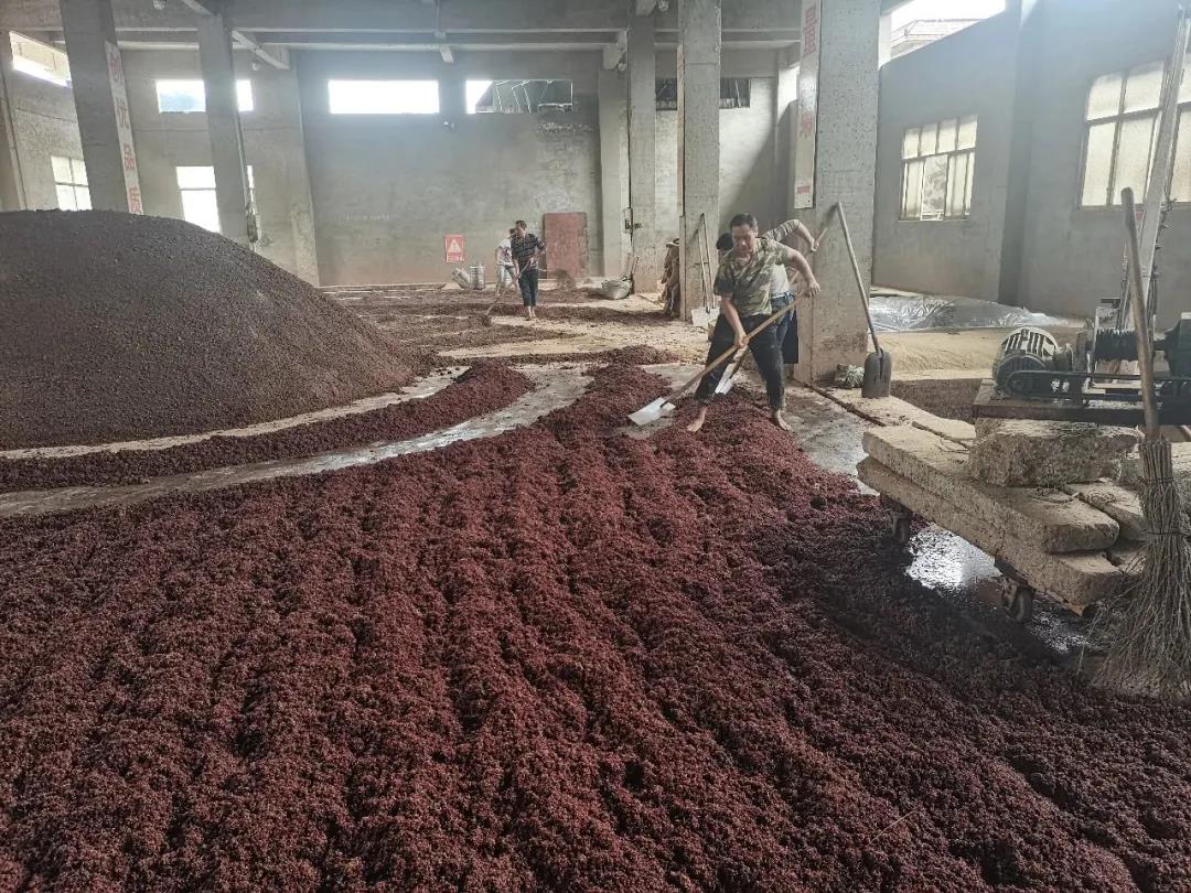 微信圖片_20210306142903.jpg 微信圖片_20210306142903.jpg