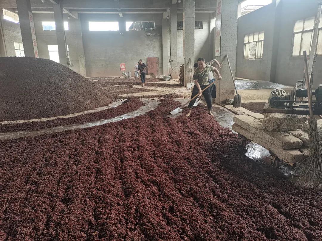 微信圖片_20210306142928.jpg 微信圖片_20210306142928.jpg