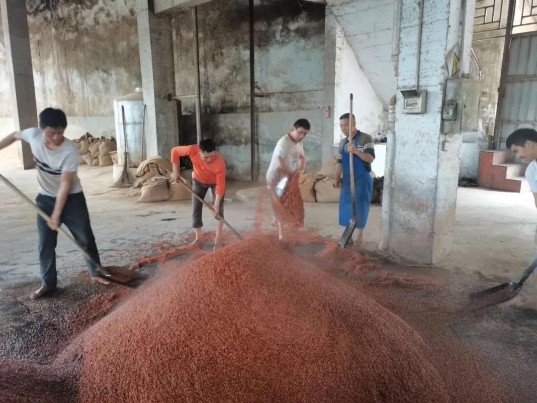 微信圖片_20210306142931.jpg 微信圖片_20210306142931.jpg