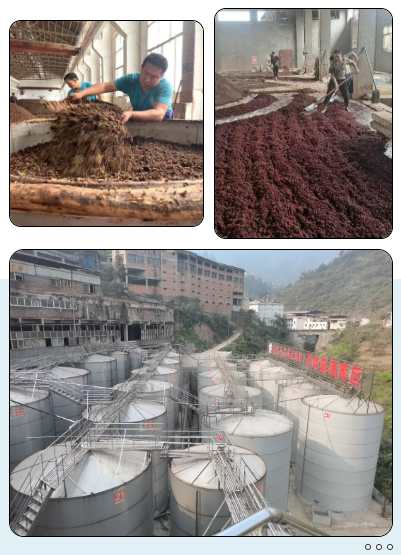 微信截圖_20210729170648.png 微信截圖_20210729170648.png