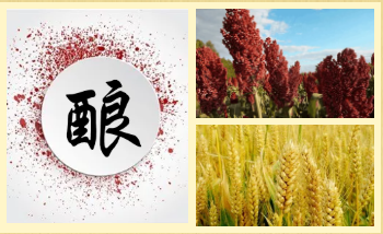 微信截圖_20210904162924.png 微信截圖_20210904162924.png